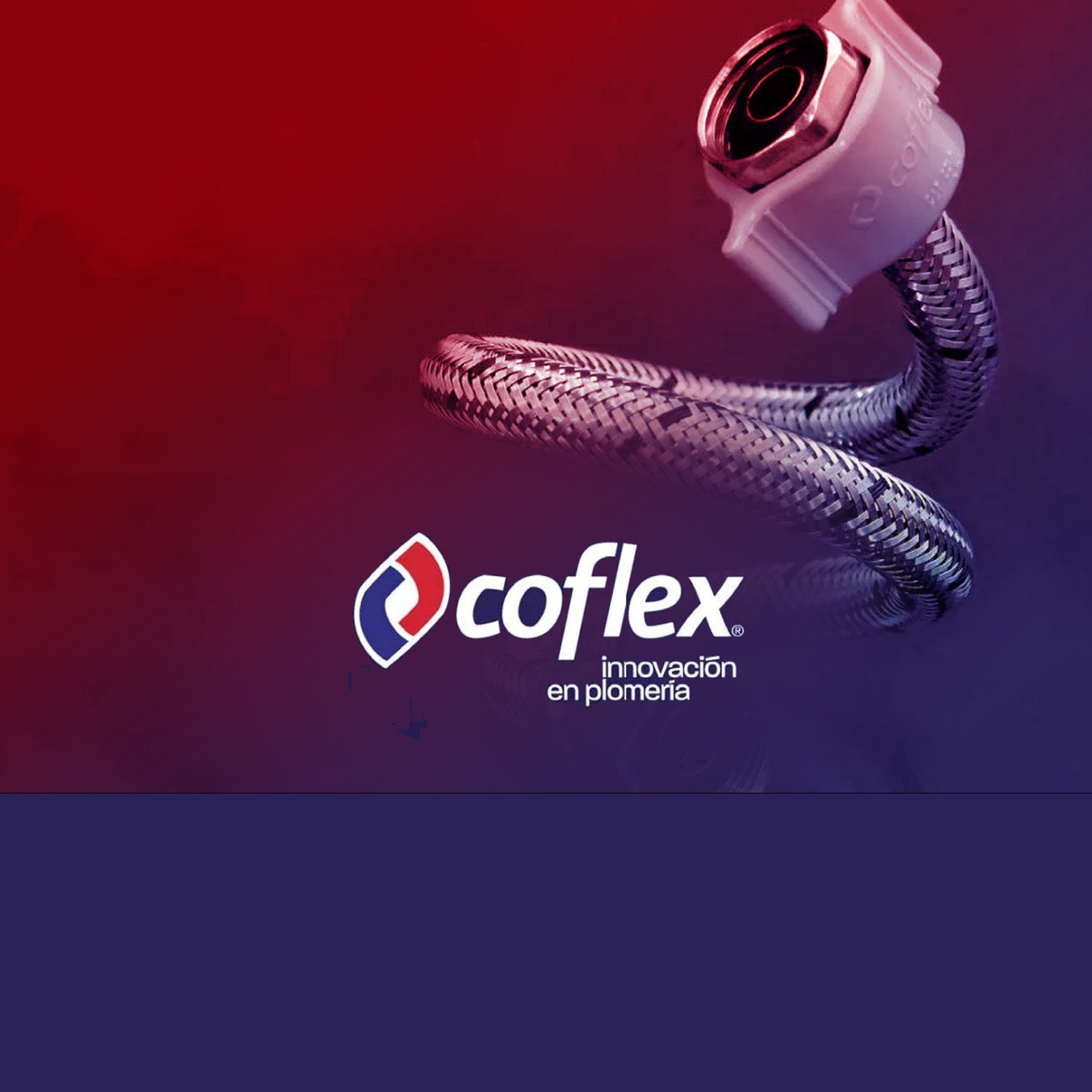 02 Coflex